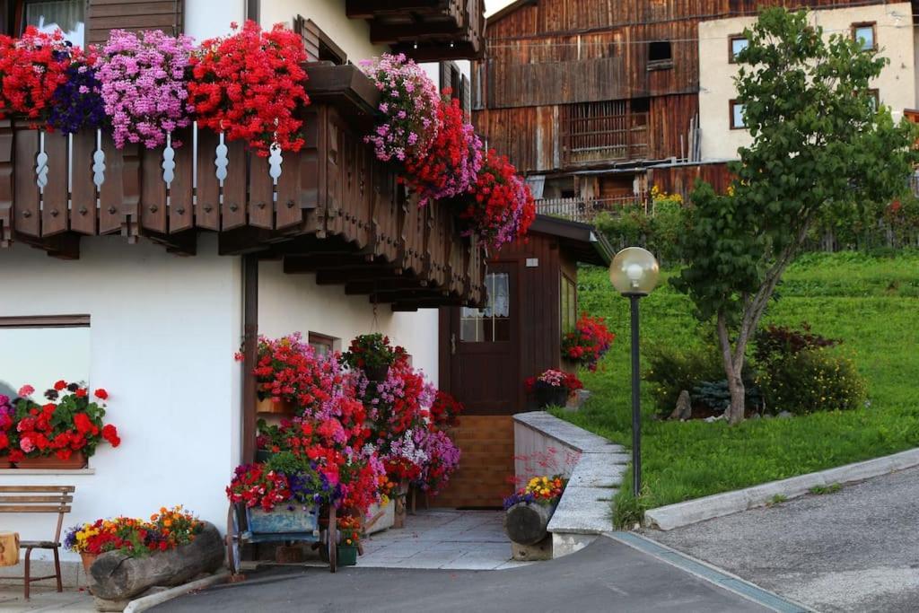 Piccola Suite Sul Civetta Colle Santa Lucia Zewnętrze zdjęcie