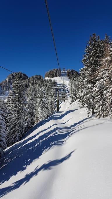 Piccola Suite Sul Civetta Colle Santa Lucia Zewnętrze zdjęcie