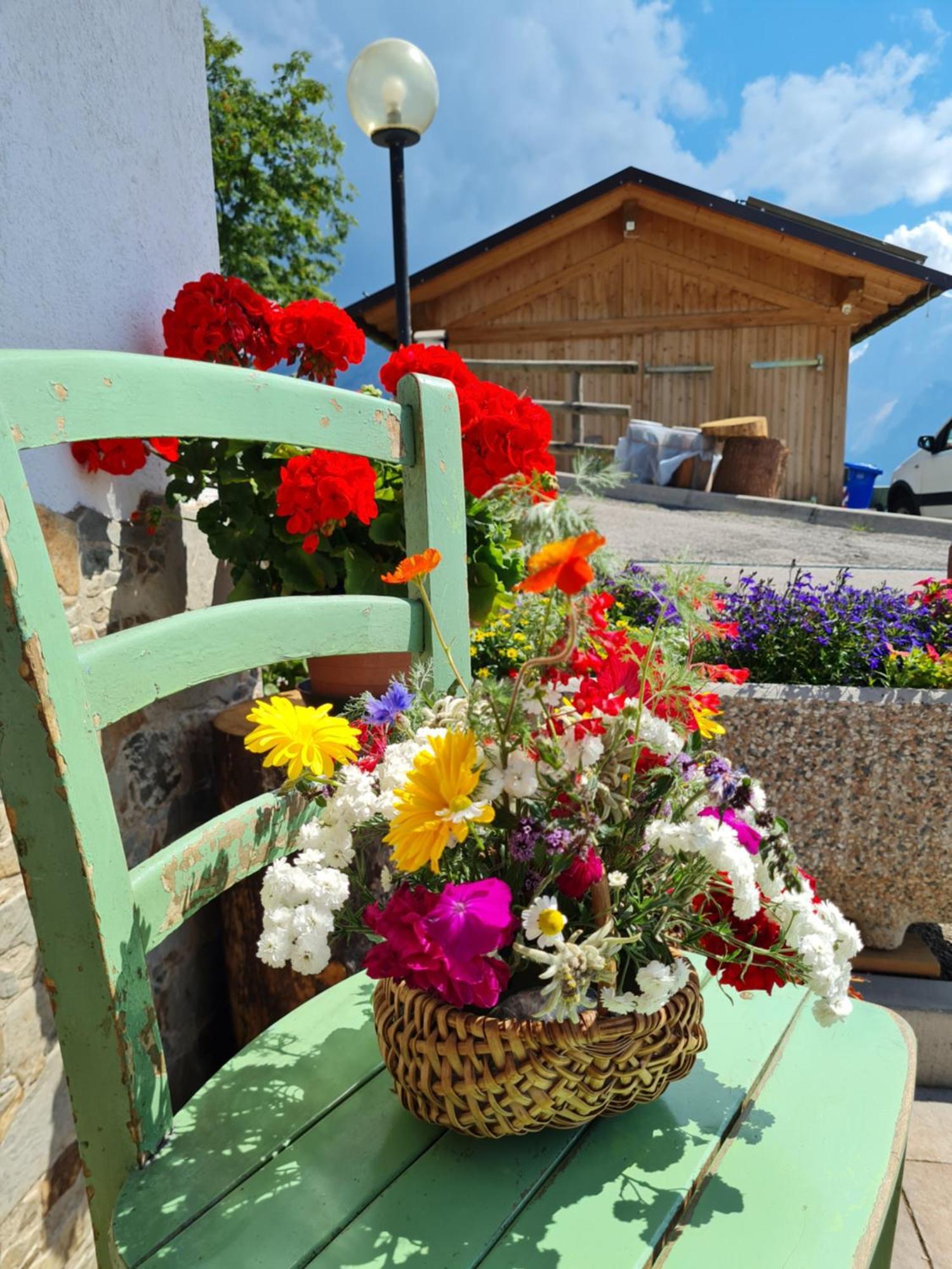 Piccola Suite Sul Civetta Colle Santa Lucia Zewnętrze zdjęcie